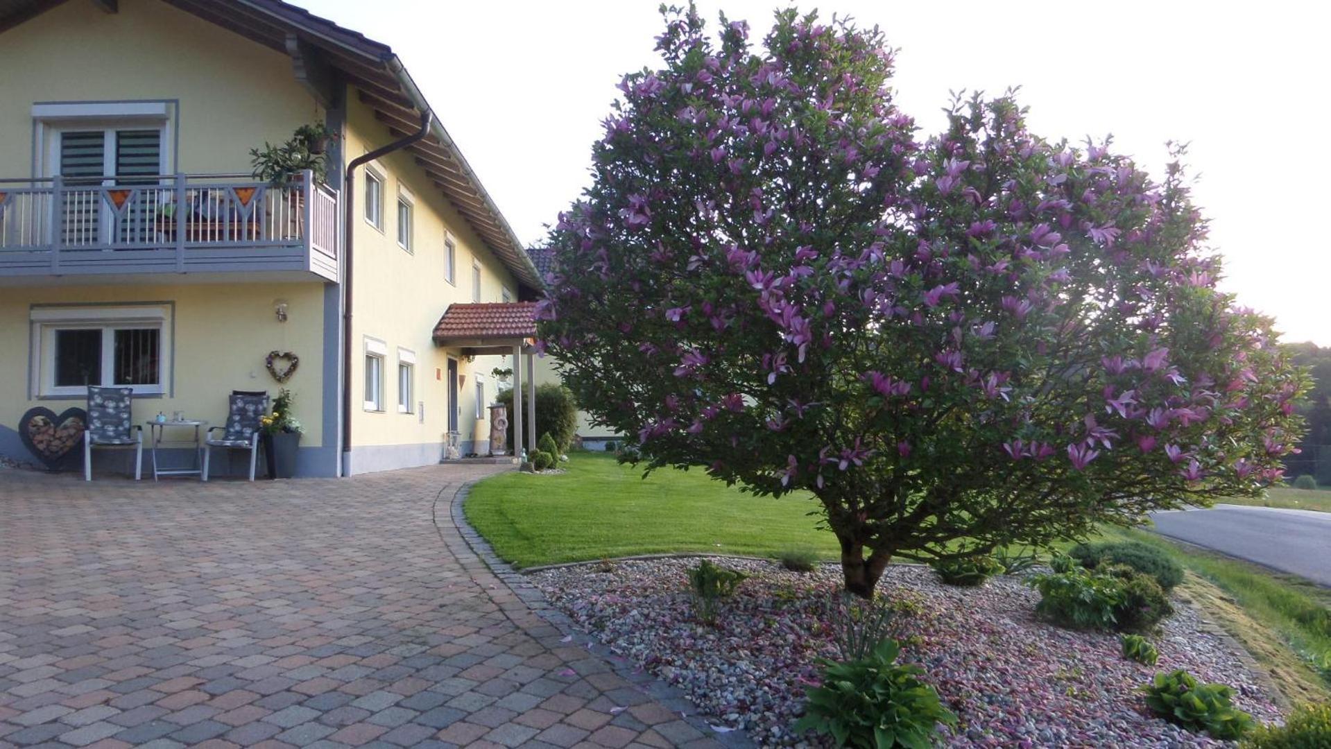 Appartement Fw & Fh Luesselfeld à Zwiesel Extérieur photo